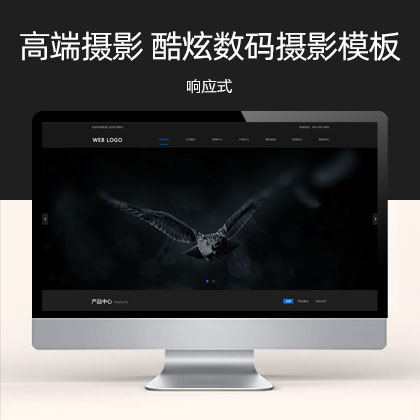 响应式高端摄影 黑色酷炫数码摄影网站模板(自适应手机端)